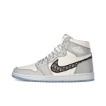 Air Jordan 1 Retro High Dior